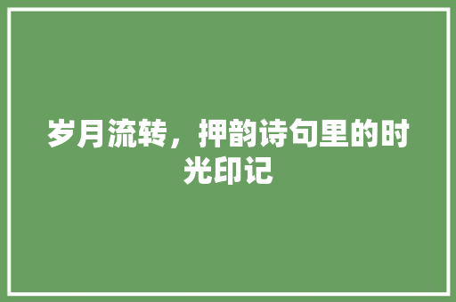 岁月流转，押韵诗句里的时光印记