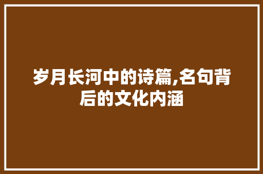 岁月长河中的诗篇,名句背后的文化内涵