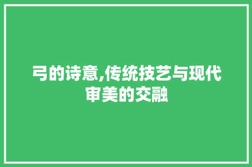 弓的诗意,传统技艺与现代审美的交融