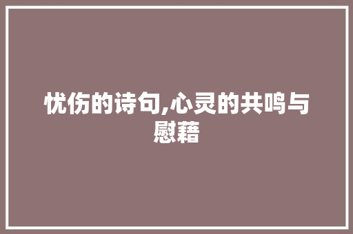 忧伤的诗句,心灵的共鸣与慰藉