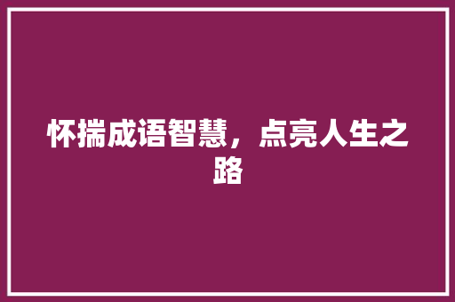 怀揣成语智慧，点亮人生之路