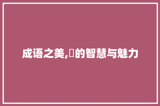 成语之美,妔的智慧与魅力