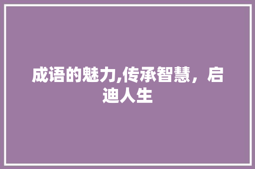 成语的魅力,传承智慧，启迪人生