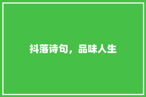 抖落诗句，品味人生