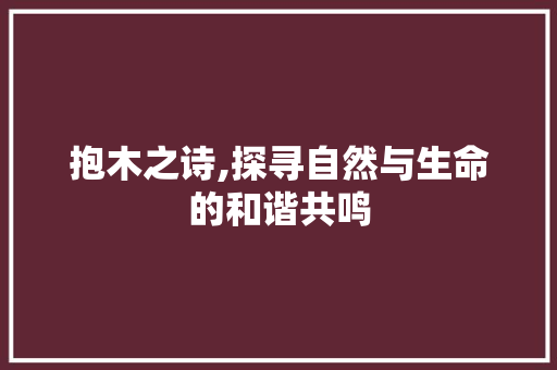 抱木之诗,探寻自然与生命的和谐共鸣