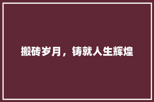 搬砖岁月，铸就人生辉煌
