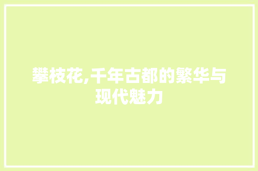 攀枝花,千年古都的繁华与现代魅力