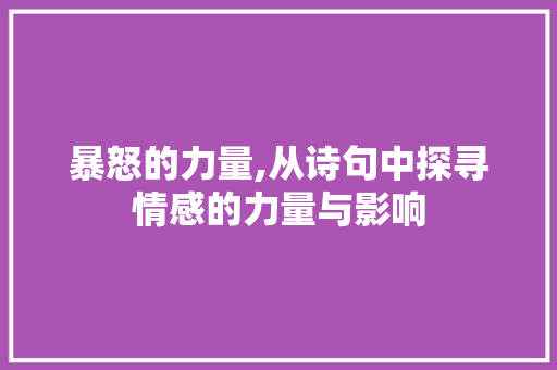 暴怒的力量,从诗句中探寻情感的力量与影响