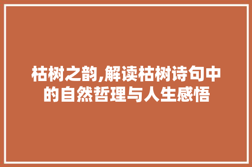 枯树之韵,解读枯树诗句中的自然哲理与人生感悟