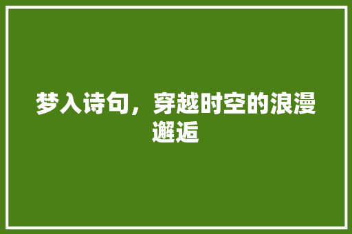 梦入诗句，穿越时空的浪漫邂逅