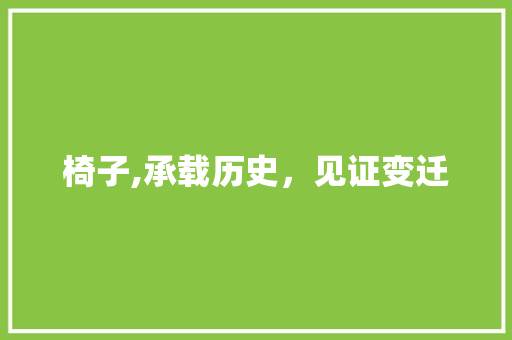 椅子,承载历史，见证变迁