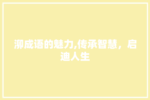 泖成语的魅力,传承智慧，启迪人生