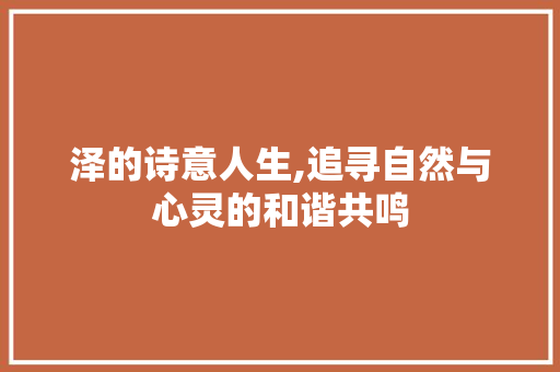 泽的诗意人生,追寻自然与心灵的和谐共鸣