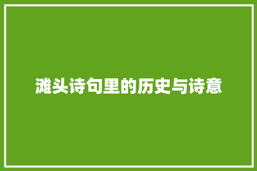 滩头诗句里的历史与诗意