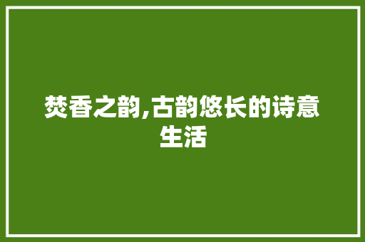 焚香之韵,古韵悠长的诗意生活