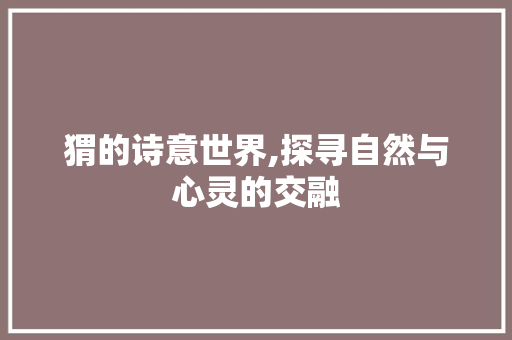 猬的诗意世界,探寻自然与心灵的交融
