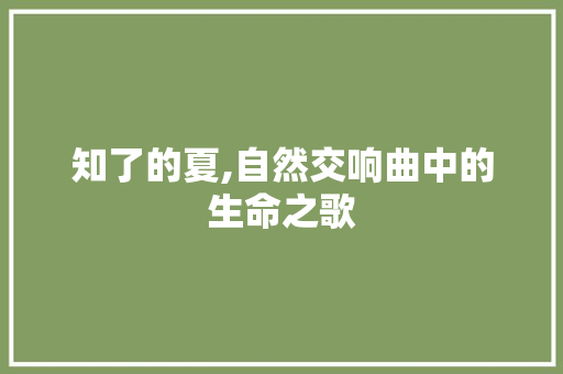 知了的夏,自然交响曲中的生命之歌