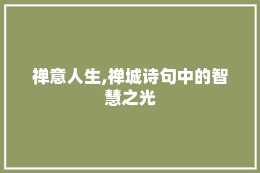 禅意人生,禅城诗句中的智慧之光