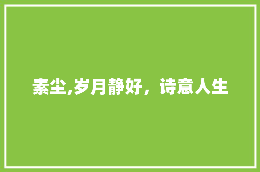 素尘,岁月静好，诗意人生