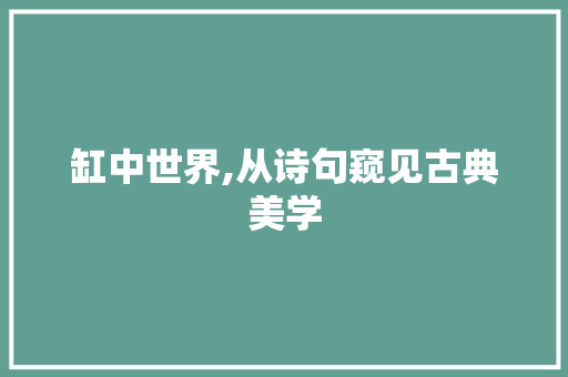 缸中世界,从诗句窥见古典美学 工作总结