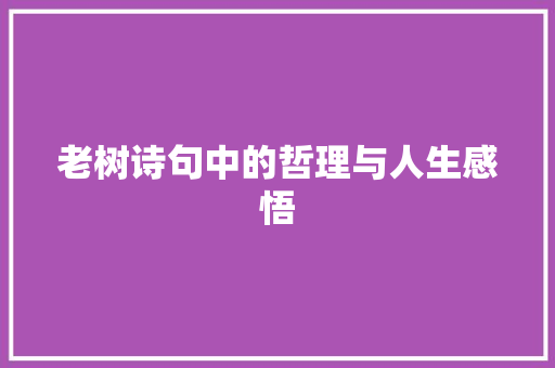 老树诗句中的哲理与人生感悟