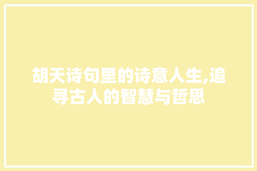 胡天诗句里的诗意人生,追寻古人的智慧与哲思