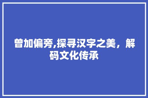 曾加偏旁,探寻汉字之美，解码文化传承