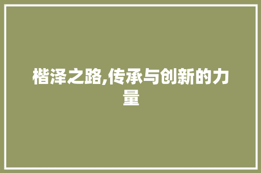 楷泽之路,传承与创新的力量