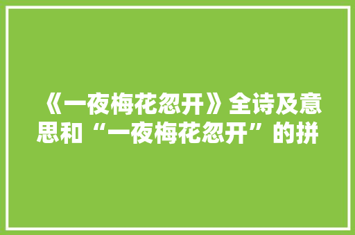 《一夜梅花忽开》全诗及意思和“一夜梅花忽开”的拼音注释 诗词鉴赏