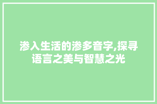 渗入生活的渗多音字,探寻语言之美与智慧之光