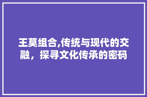 王莫组合,传统与现代的交融，探寻文化传承的密码
