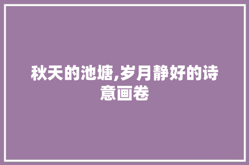 秋天的池塘,岁月静好的诗意画卷