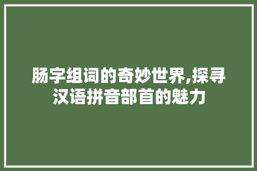 肠字组词的奇妙世界,探寻汉语拼音部首的魅力