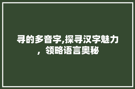 寻的多音字,探寻汉字魅力，领略语言奥秘