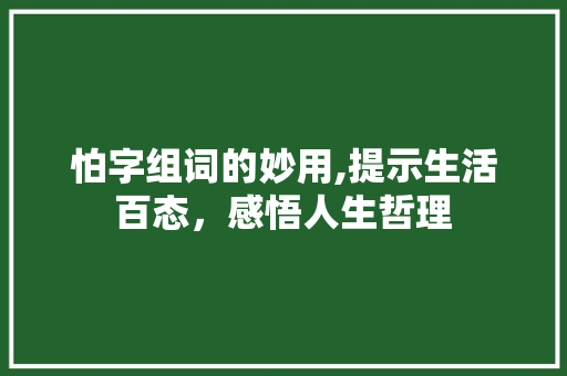 怕字组词的妙用,提示生活百态，感悟人生哲理