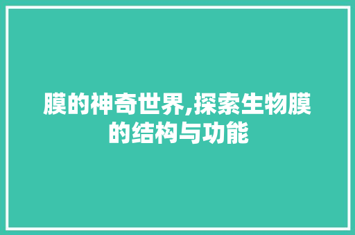 膜的神奇世界,探索生物膜的结构与功能