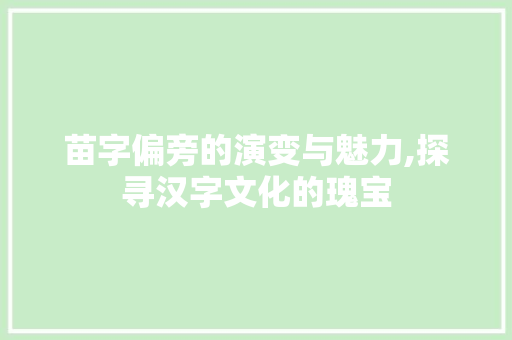 苗字偏旁的演变与魅力,探寻汉字文化的瑰宝 社交媒体