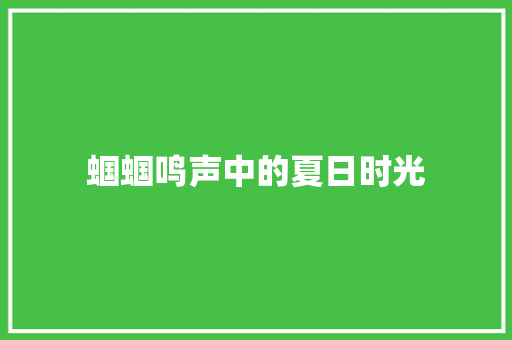 蝈蝈鸣声中的夏日时光