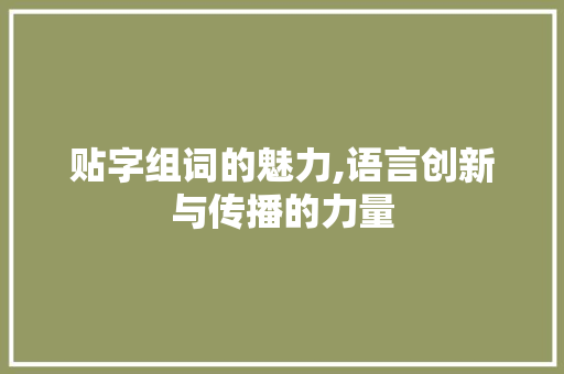 贴字组词的魅力,语言创新与传播的力量
