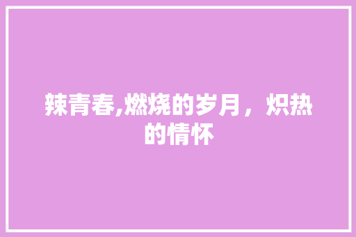 辣青春,燃烧的岁月，炽热的情怀