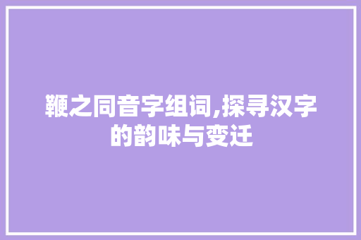 鞭之同音字组词,探寻汉字的韵味与变迁