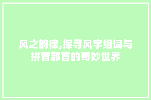 风之韵律,探寻风字组词与拼音部首的奇妙世界