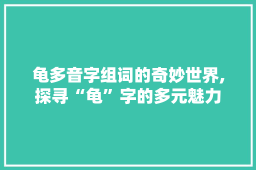 龟多音字组词的奇妙世界,探寻“龟”字的多元魅力