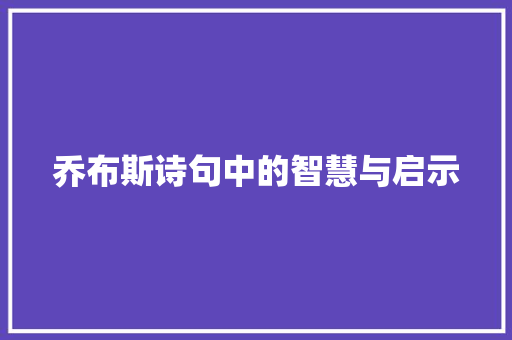 乔布斯诗句中的智慧与启示