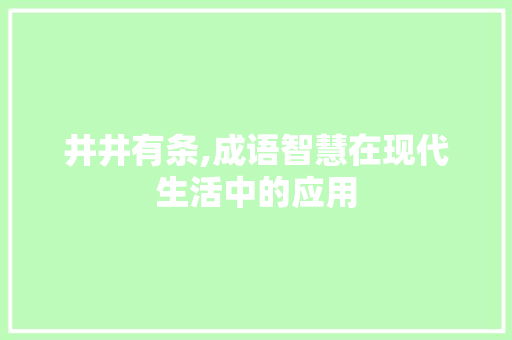 井井有条,成语智慧在现代生活中的应用