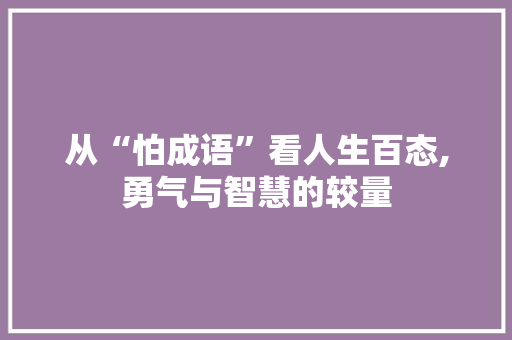 从“怕成语”看人生百态,勇气与智慧的较量