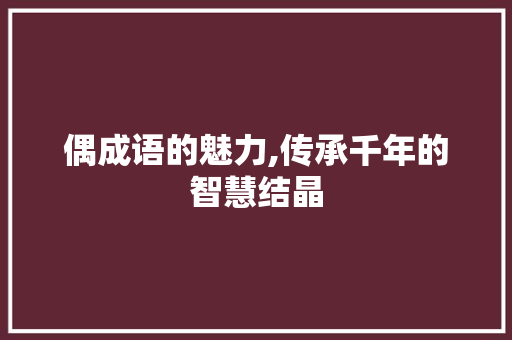 偶成语的魅力,传承千年的智慧结晶