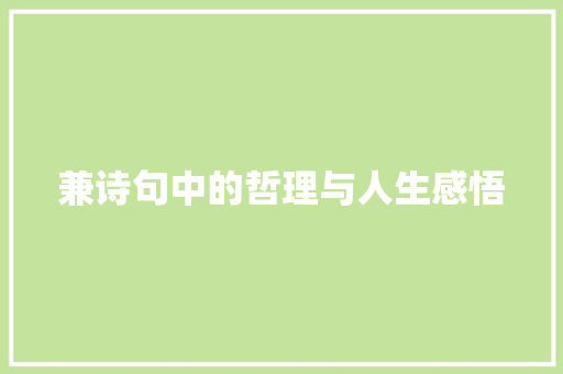 兼诗句中的哲理与人生感悟