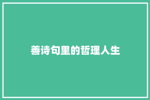 善诗句里的哲理人生