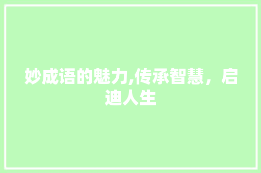 妙成语的魅力,传承智慧，启迪人生